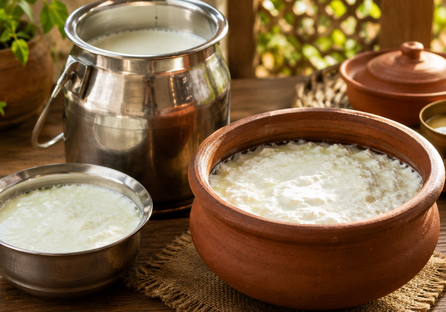 Buffalo Milk to Curd