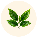 Natural Ingredients